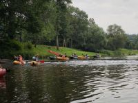 IMG_20240630_112412.jpg